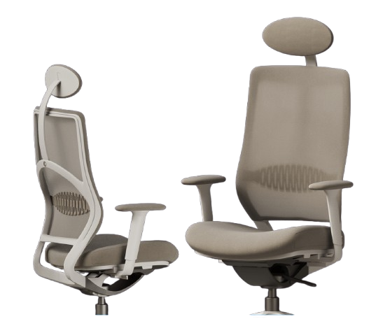 Ergonomic Office Chair